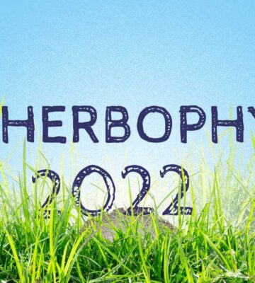 Herbophyles 2022 #14 : Une pousse à deux vitesses
