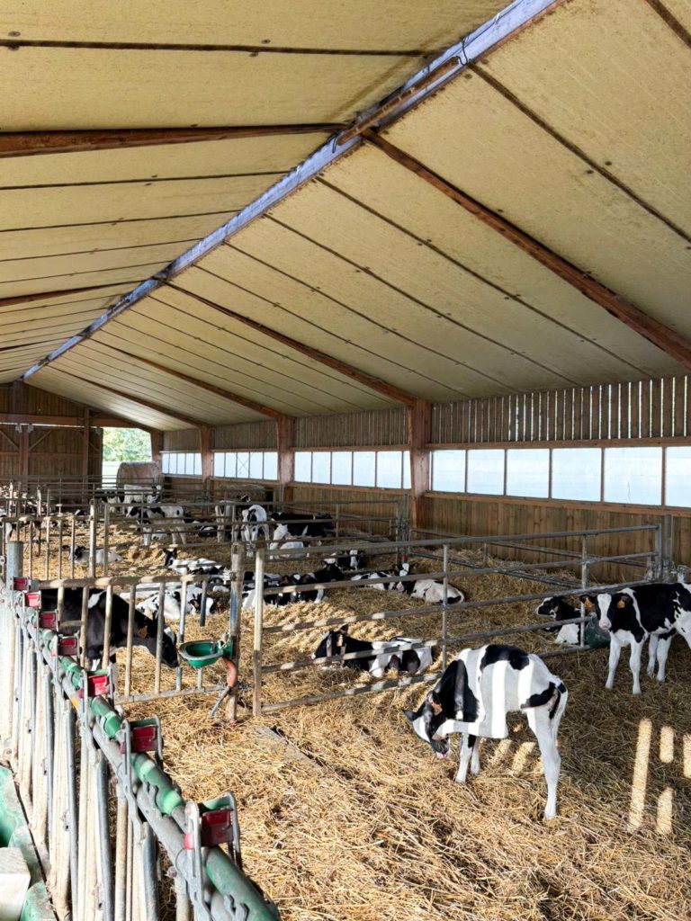 SCEA de l'Argilière 20 janvier