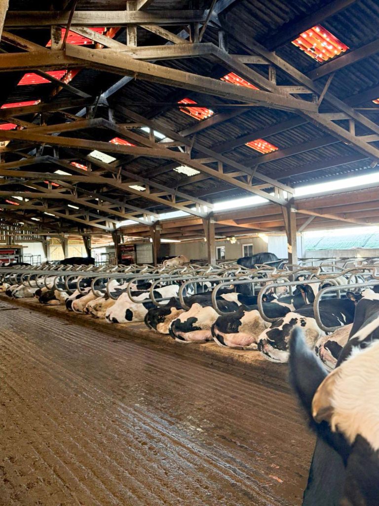 SCEA Gruson 27 janvier