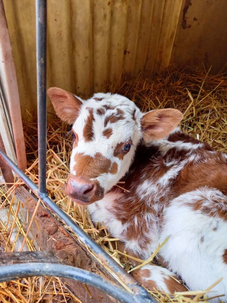 8 rendez-vous techniques