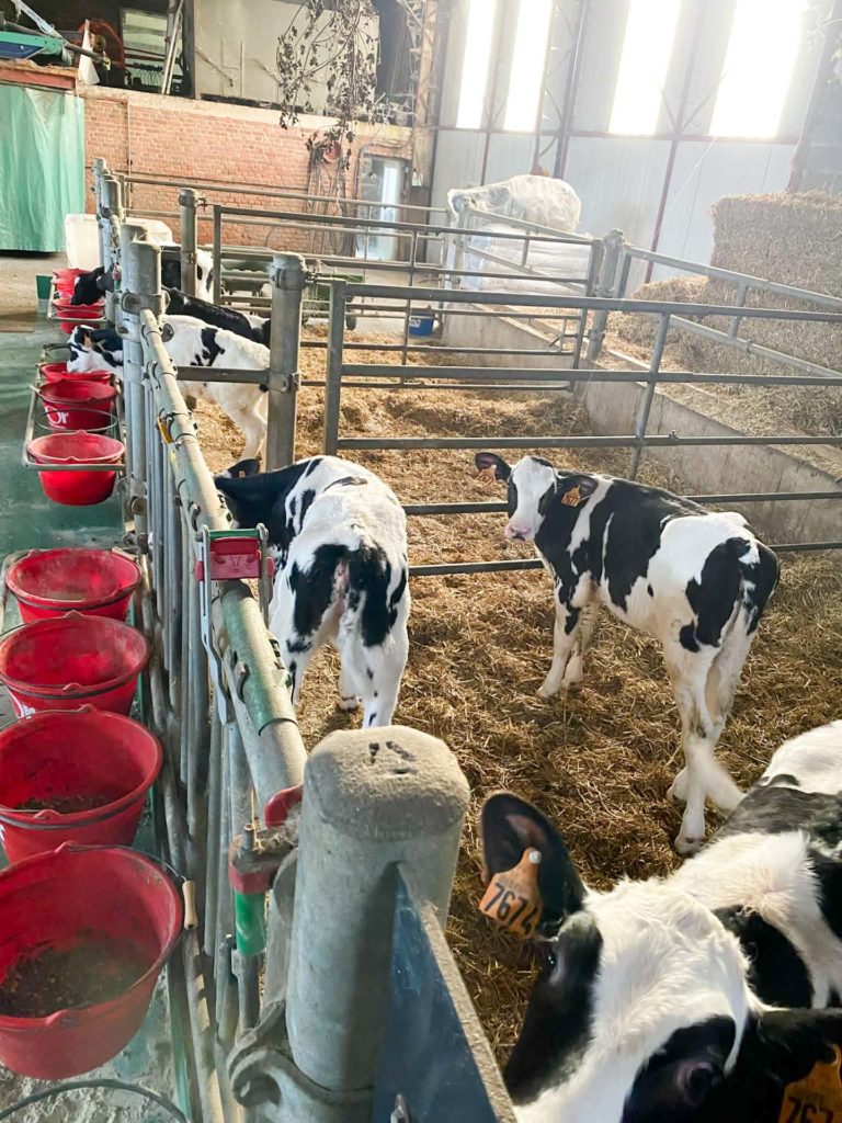 EARL Deschodt12 février