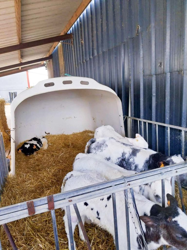 GAEC du Moulin Rouge05 février