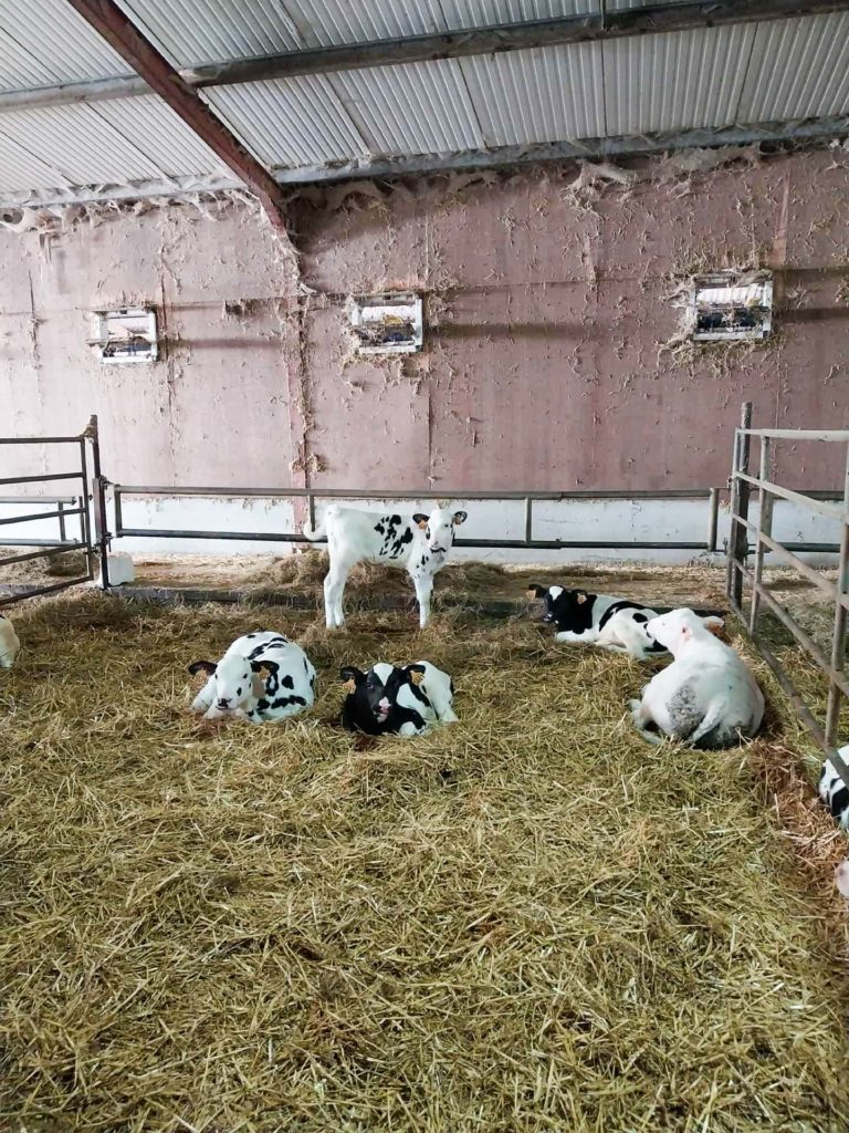 GAEC du Moulin Rouge05 février