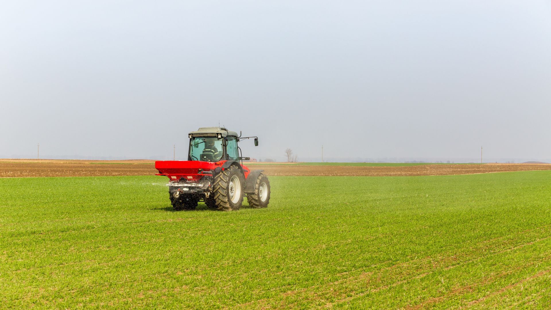 Fertilisation minérale culture apport engrais